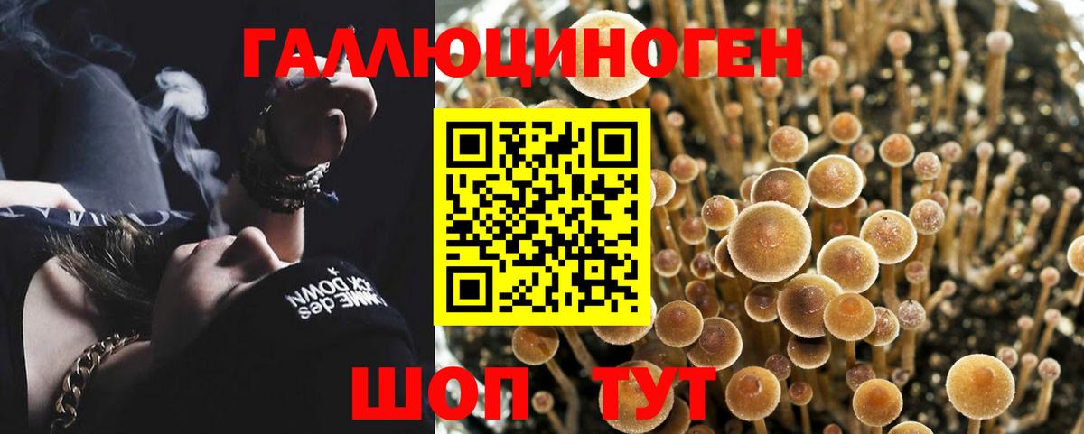 Елец  Галлюциногенные грибы Magic Shrooms  Вход с VPN  Псилоцибиновые грибы GOLDEN TEACHER 